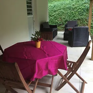 Les Lucioles 1 Beau T2 En Foret Tropicale Avec Acces Piscine Saint-Joseph