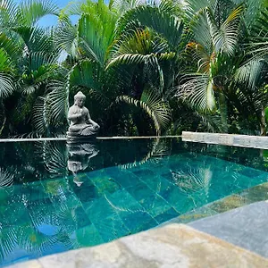 O Palm : Dans Un Petit Ecrin De Verdure Saint-Joseph